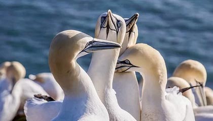 晋州市富璟日化有限公司成立 注册资本10万人民币