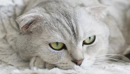 徐州富图包装制品有限公司成立 注册资本100万人民币