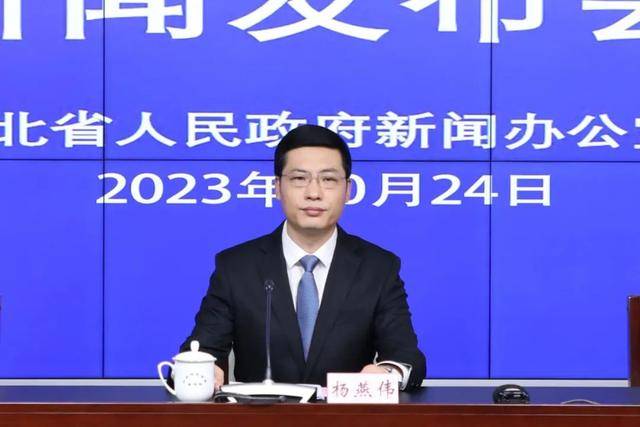 中央巡视组进驻期间，杨燕伟任上被查