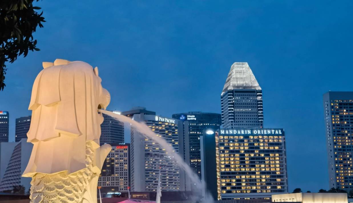 新加坡留学一年多少钱？高性价比打造国际视野‌