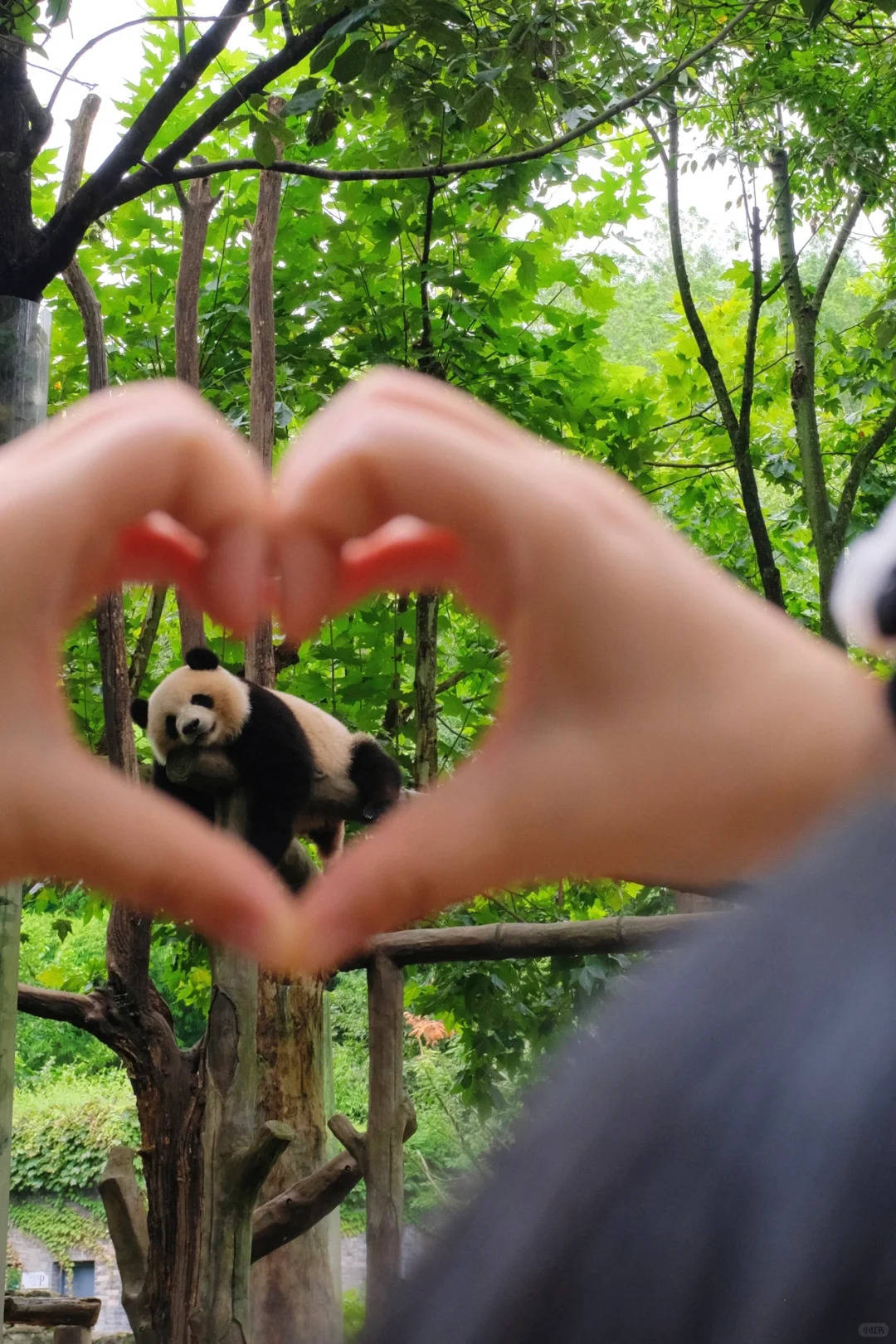 四川五日游团费明细，团队报价实时更新，省钱攻略必看！