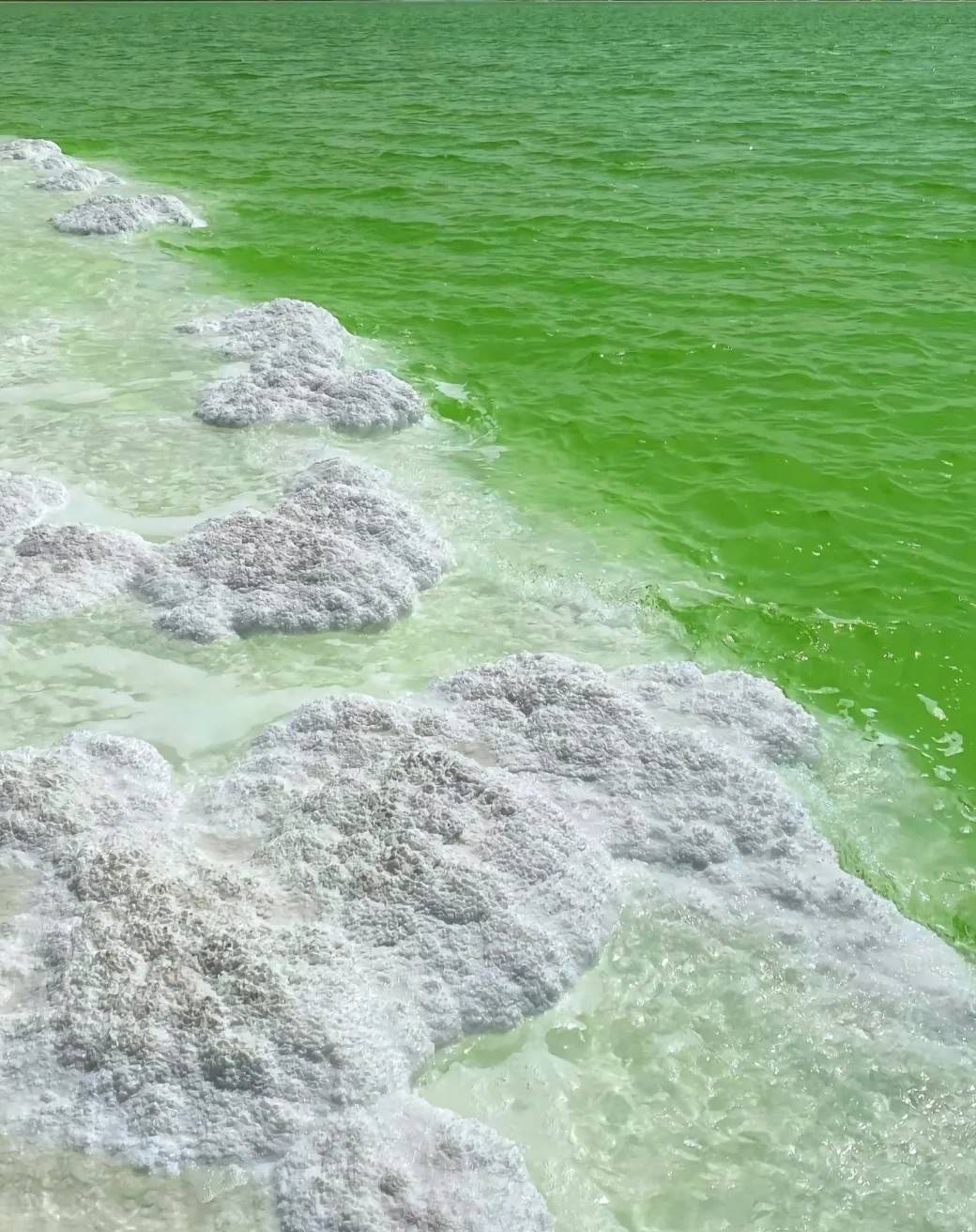 青甘环线报价对比，优惠行程实时更新，亲测省钱攻略公开