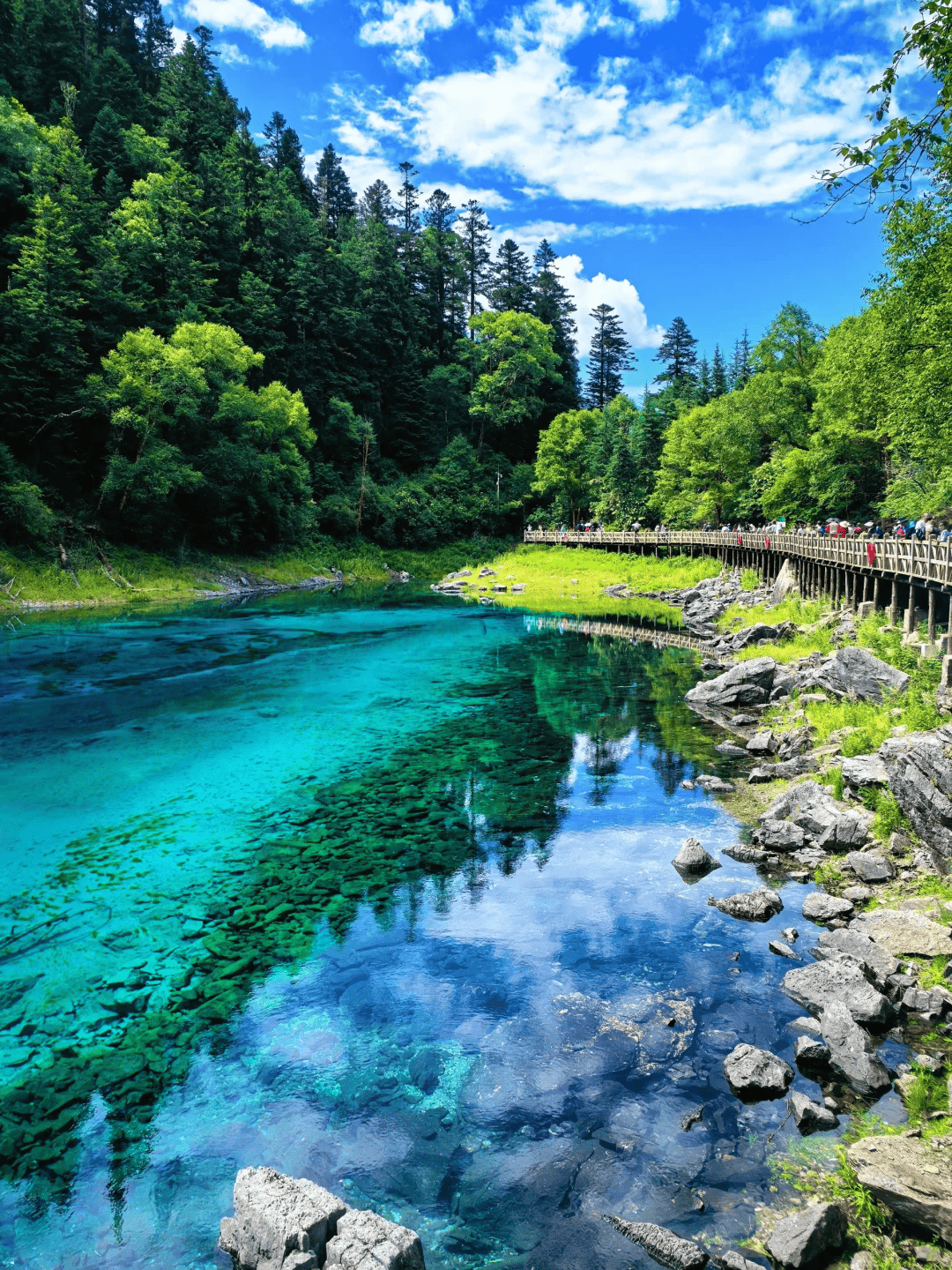 四川五日游费用一览，跟团报价实时更新，这样玩省一半