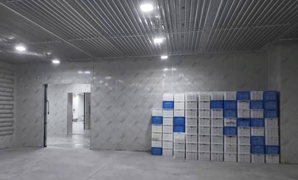 一颗杨梅的72小时保鲜战