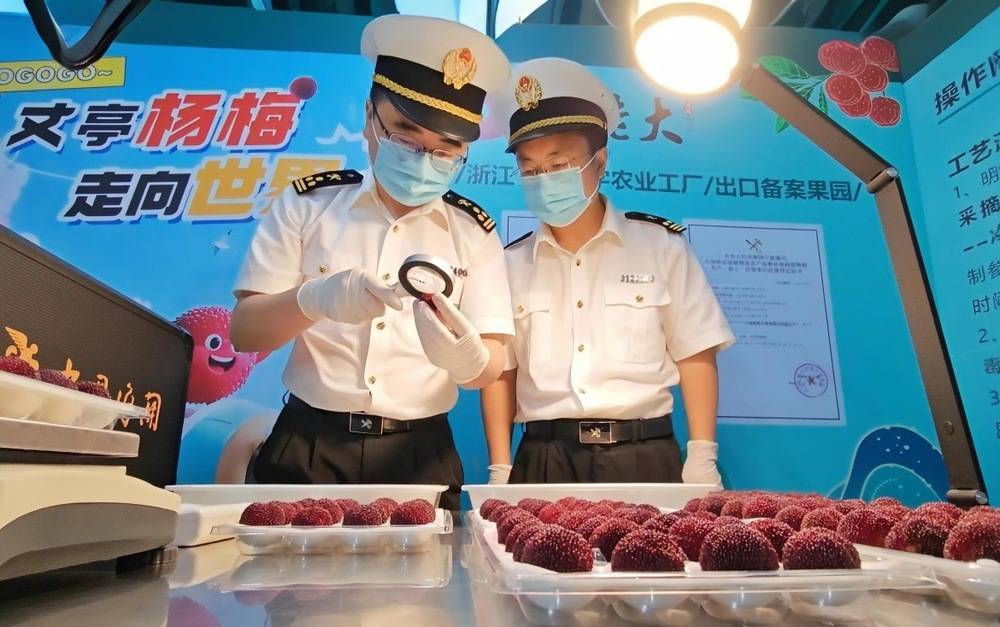 一颗杨梅的72小时保鲜战