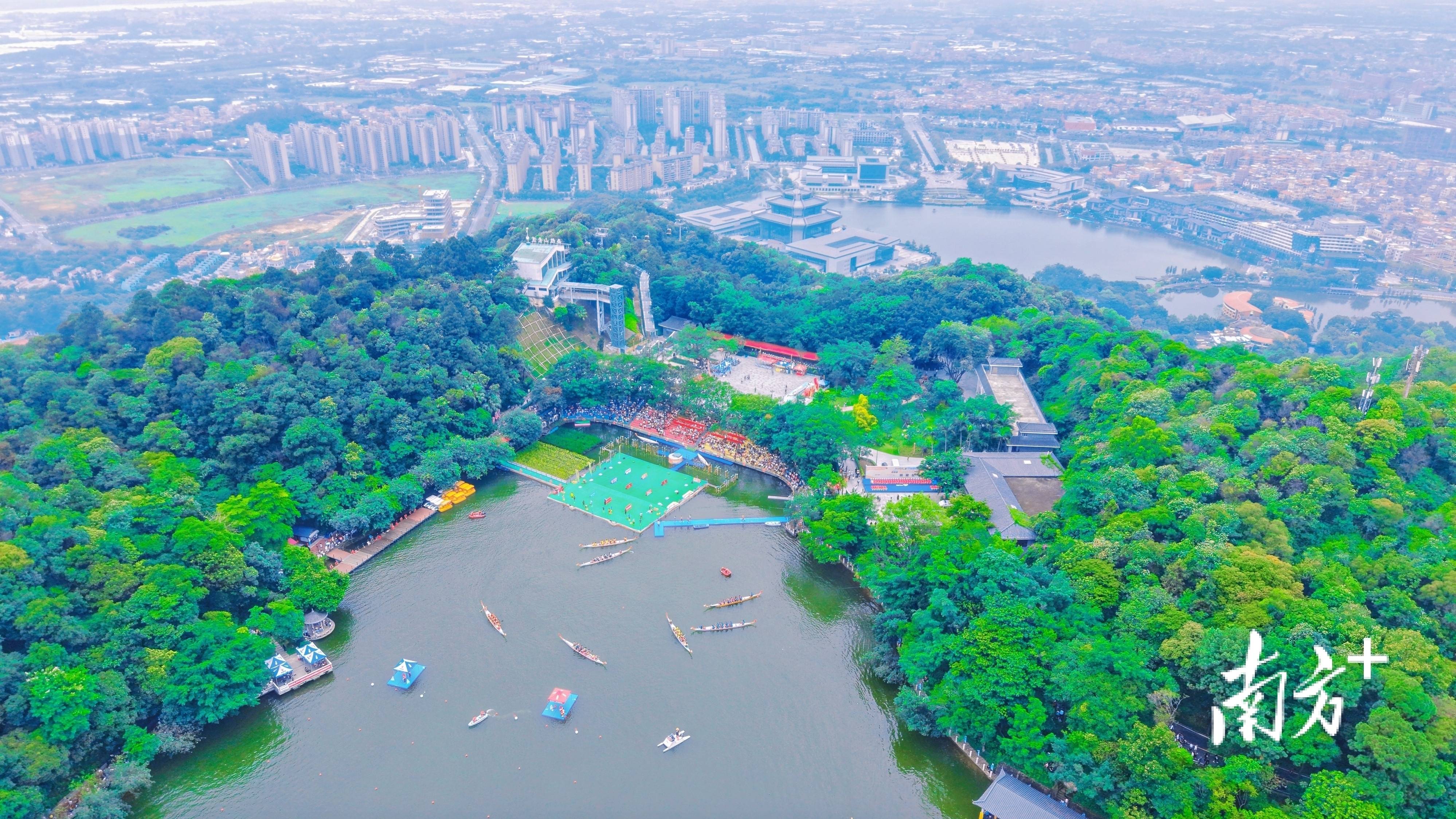 醒狮观澜|乙巳端午,南海72小时