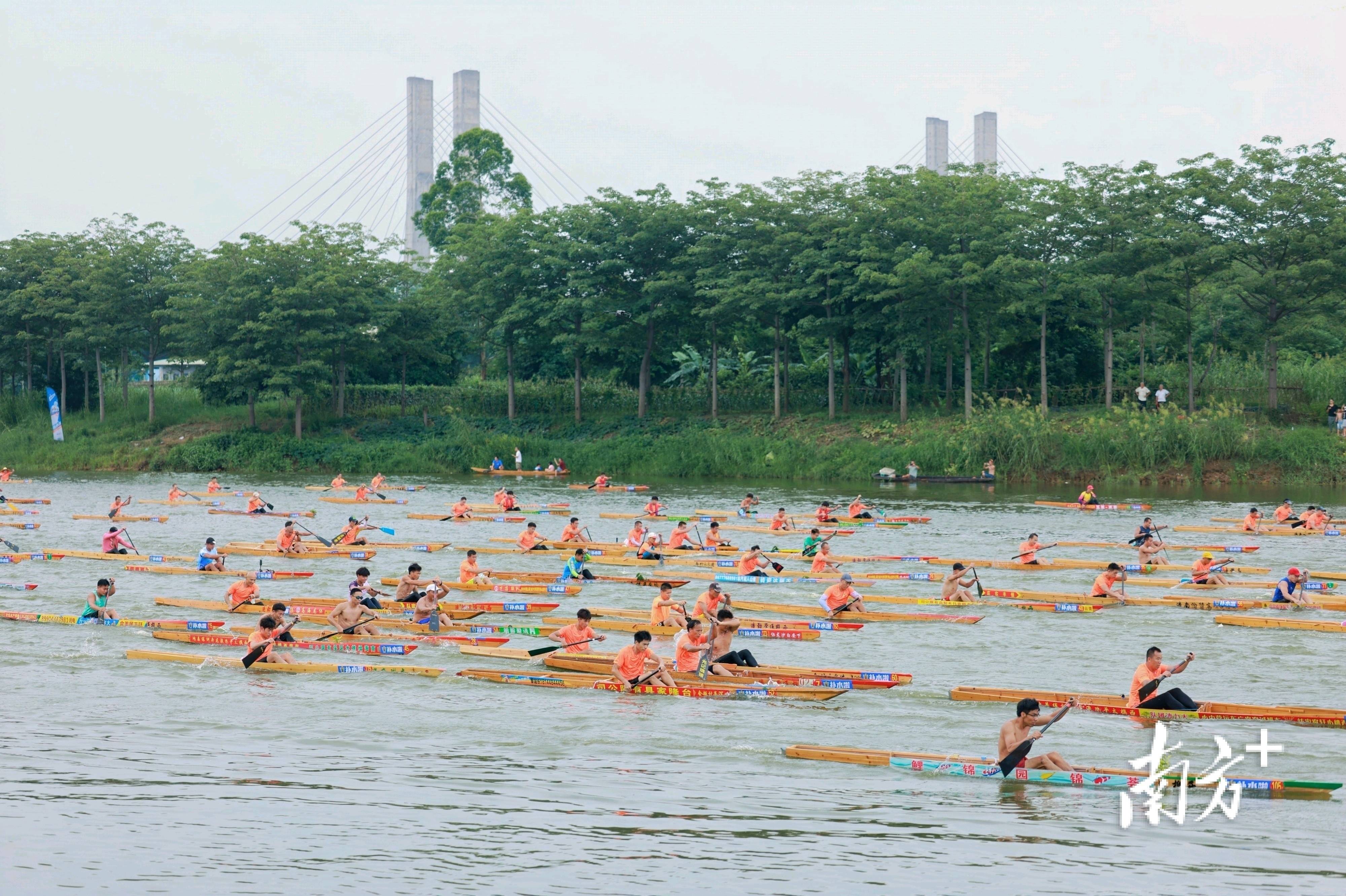 醒狮观澜|乙巳端午,南海72小时