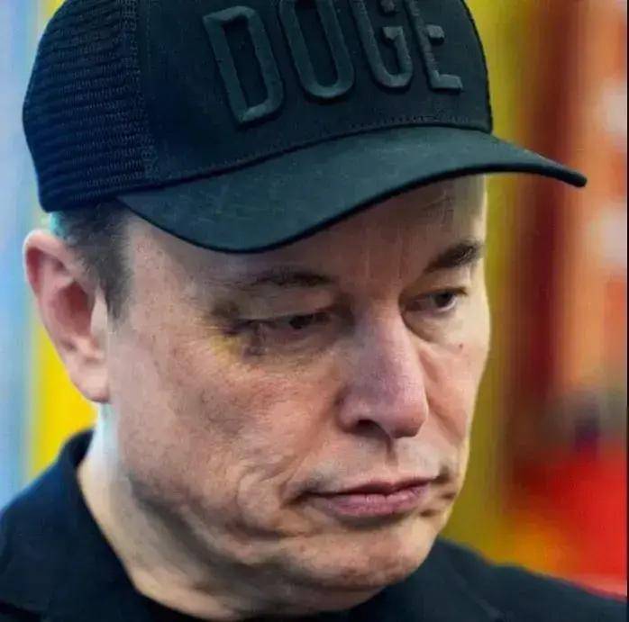 林超论币：山寨币崩盘前夜？马斯克沦为政治耗材