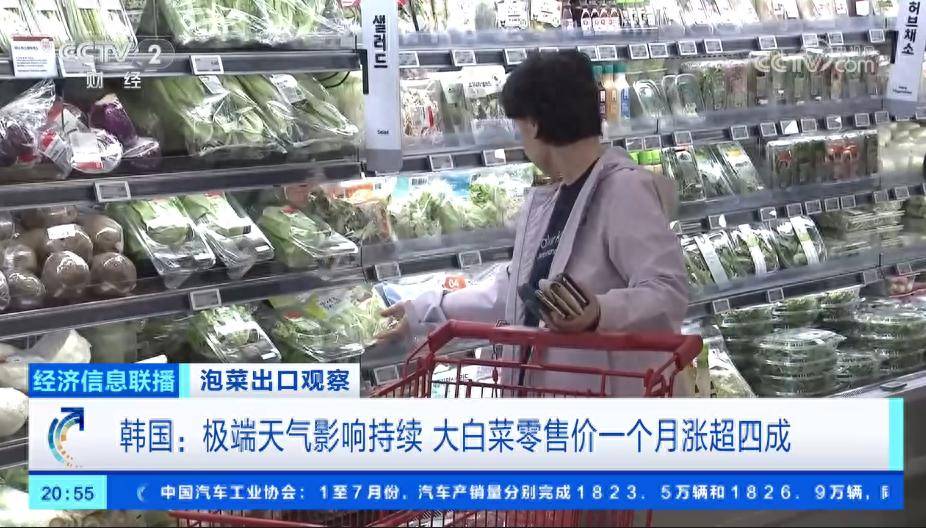 韩国大白菜价格暴涨超40%，韩国人吃了90%的山东出口泡菜