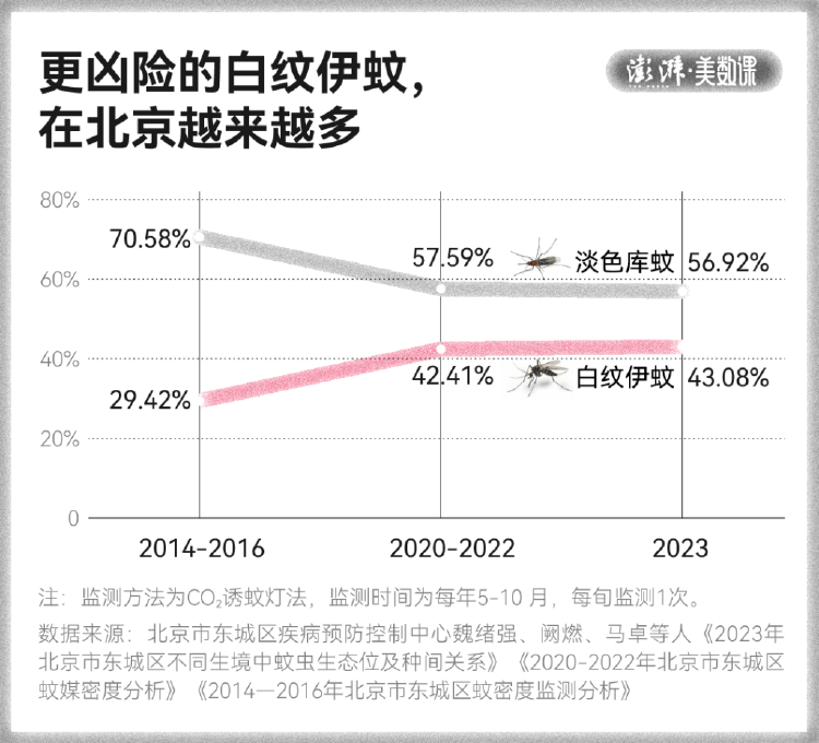 全球“最毒”的蚊子，为何批量北上