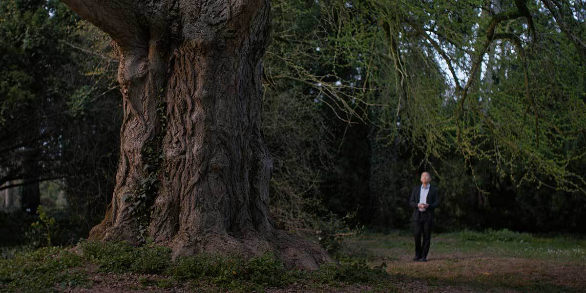 梁朝伟、蕾雅·赛杜主演新片《寂静的朋友》曝正片片段 9月4日威尼斯电影节首映