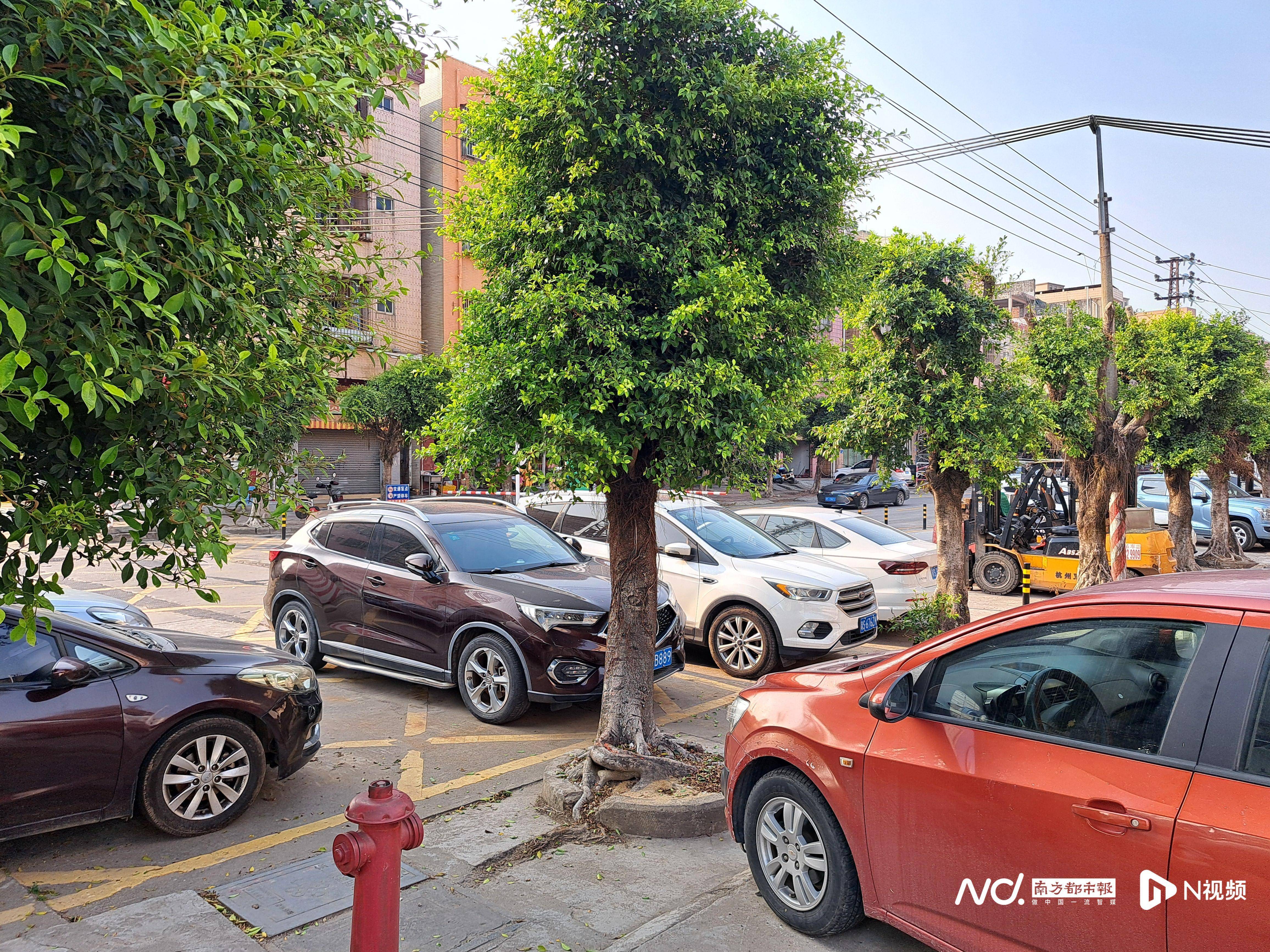 东莞出台村社区停车意见：强化收费区域外围道路的违停执法