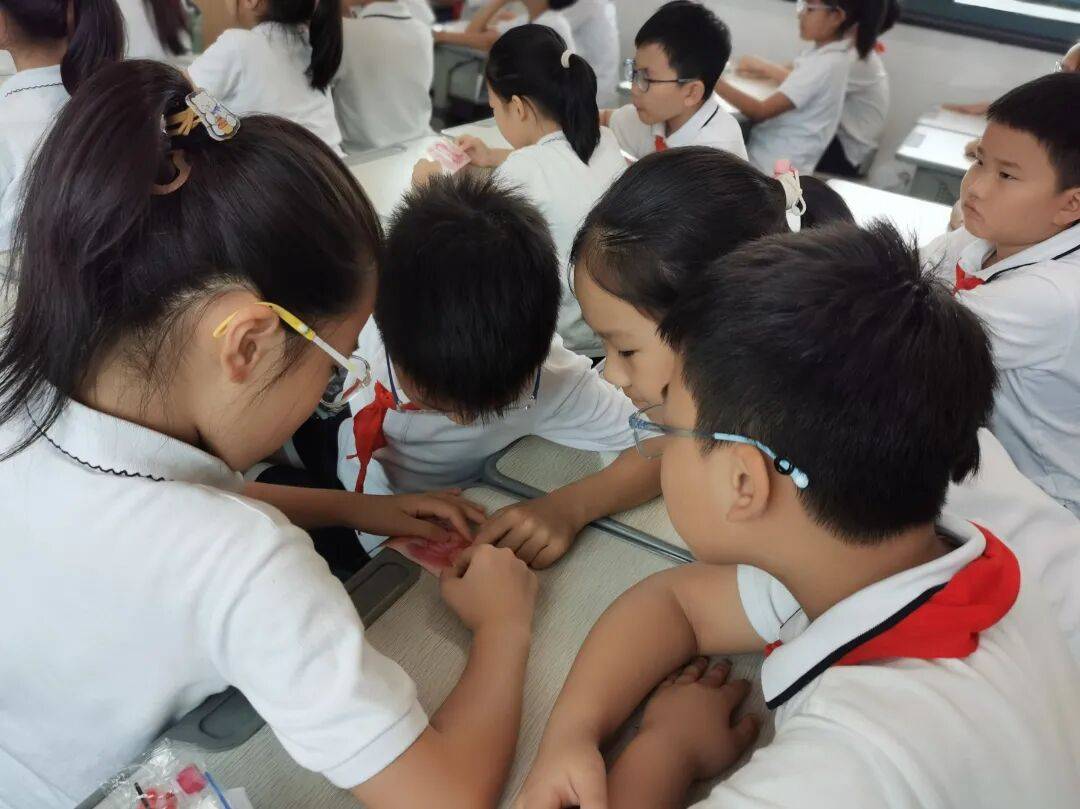 小小人民币，趣识大奥秘。