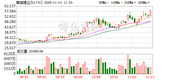 赣锋锂业股票(赣锋锂业股票代码)