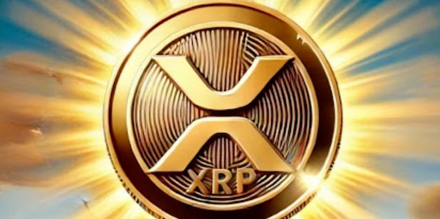 包含XRP-瑞波币交易官网的词条