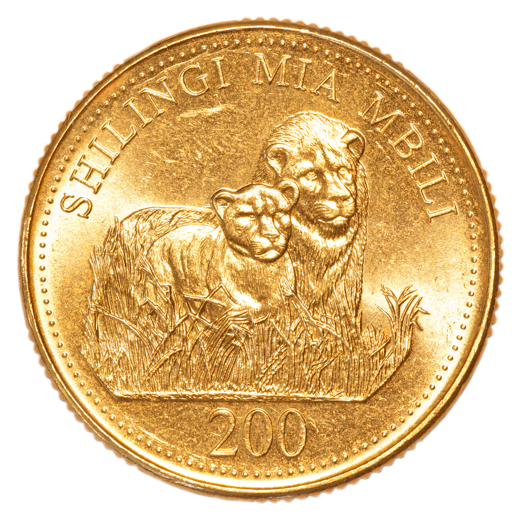 坦桑尼亚货币(人民币兑换坦桑尼亚货币)