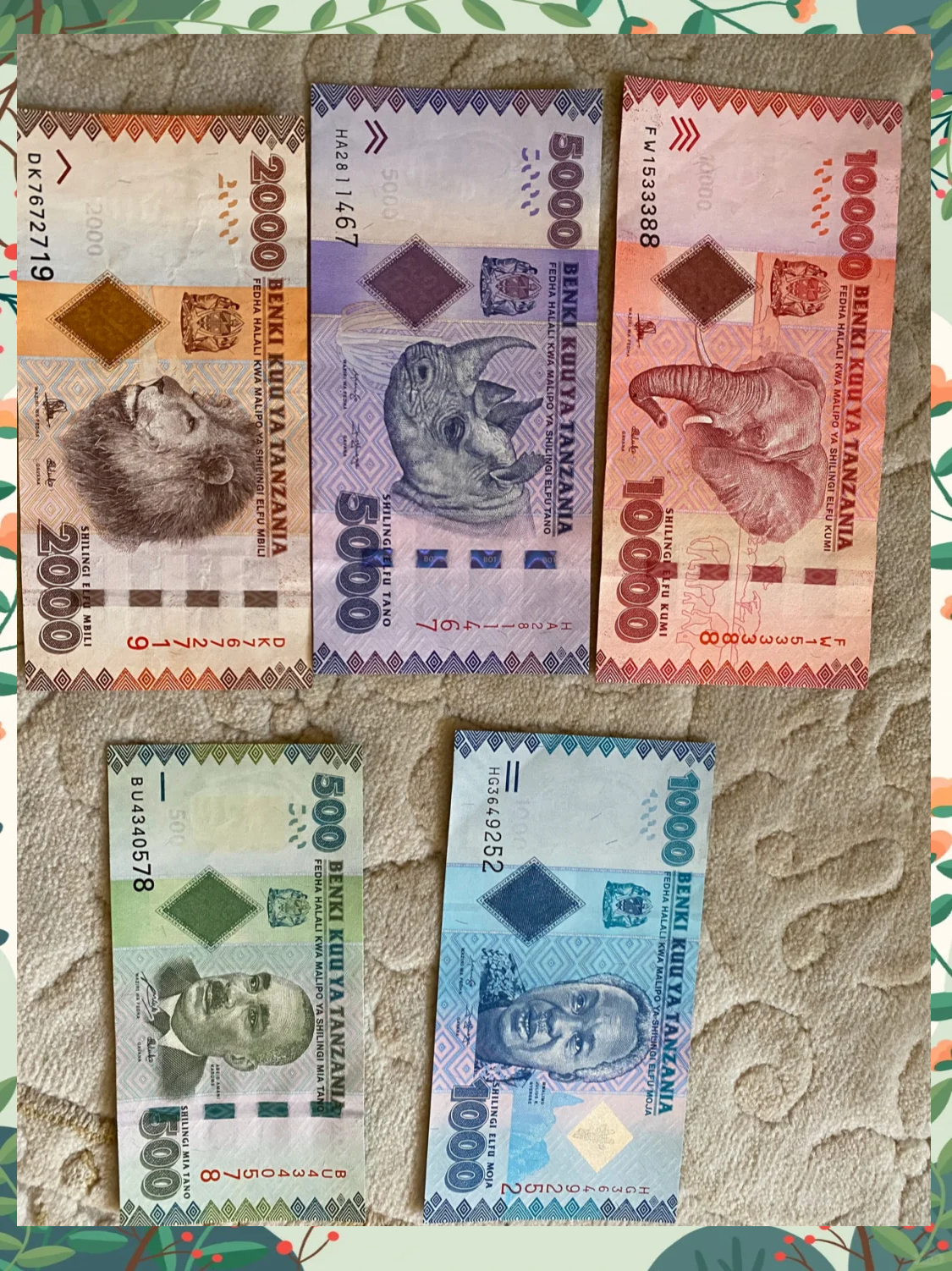 坦桑尼亚货币(人民币兑换坦桑尼亚货币)