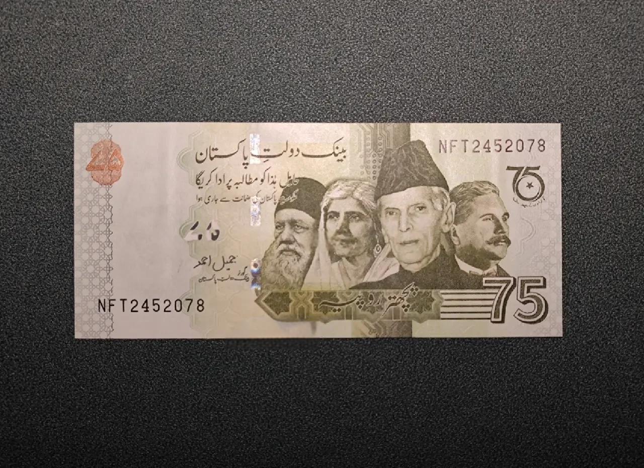 巴基斯坦货币(巴基斯坦货币人民币汇率)