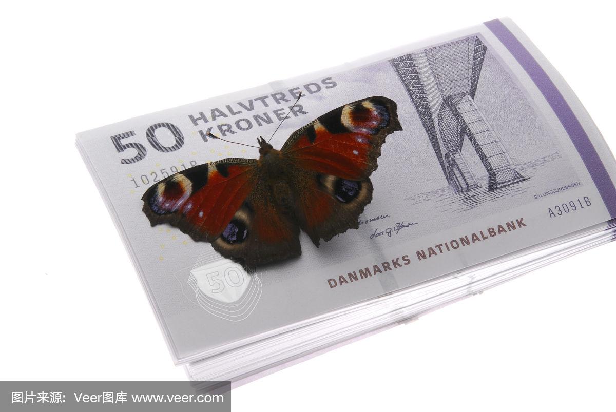 丹麦货币(丹麦货币是欧元吗)
