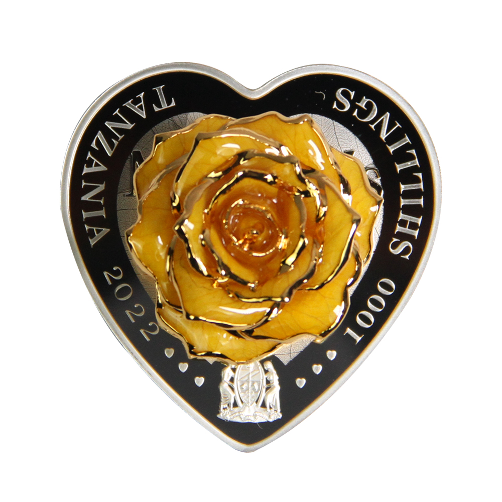 坦桑尼亚货币(坦桑尼亚货币符号)