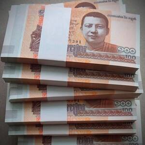 柬埔寨货币(柬埔寨货币汇率)