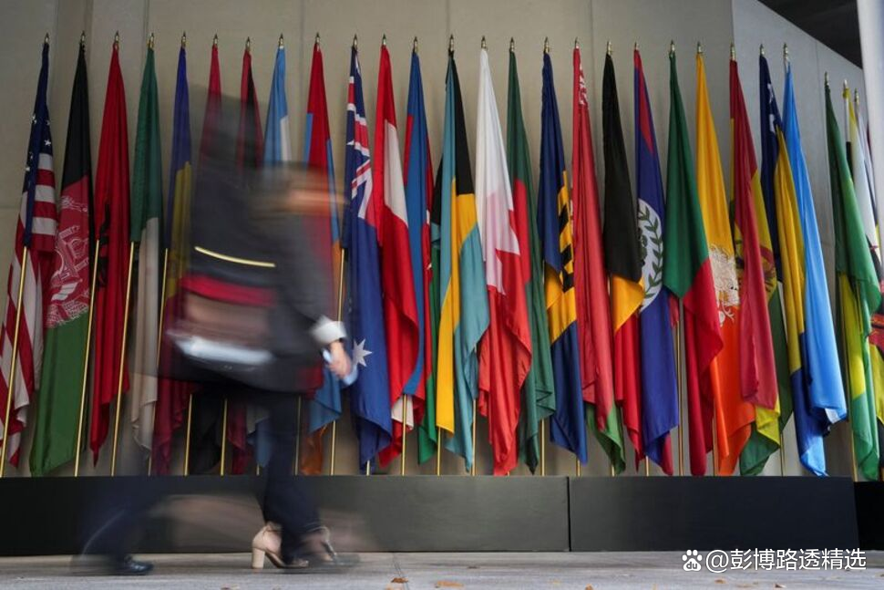 国际货币基金组织(国际货币基金组织是哪一年成立的)